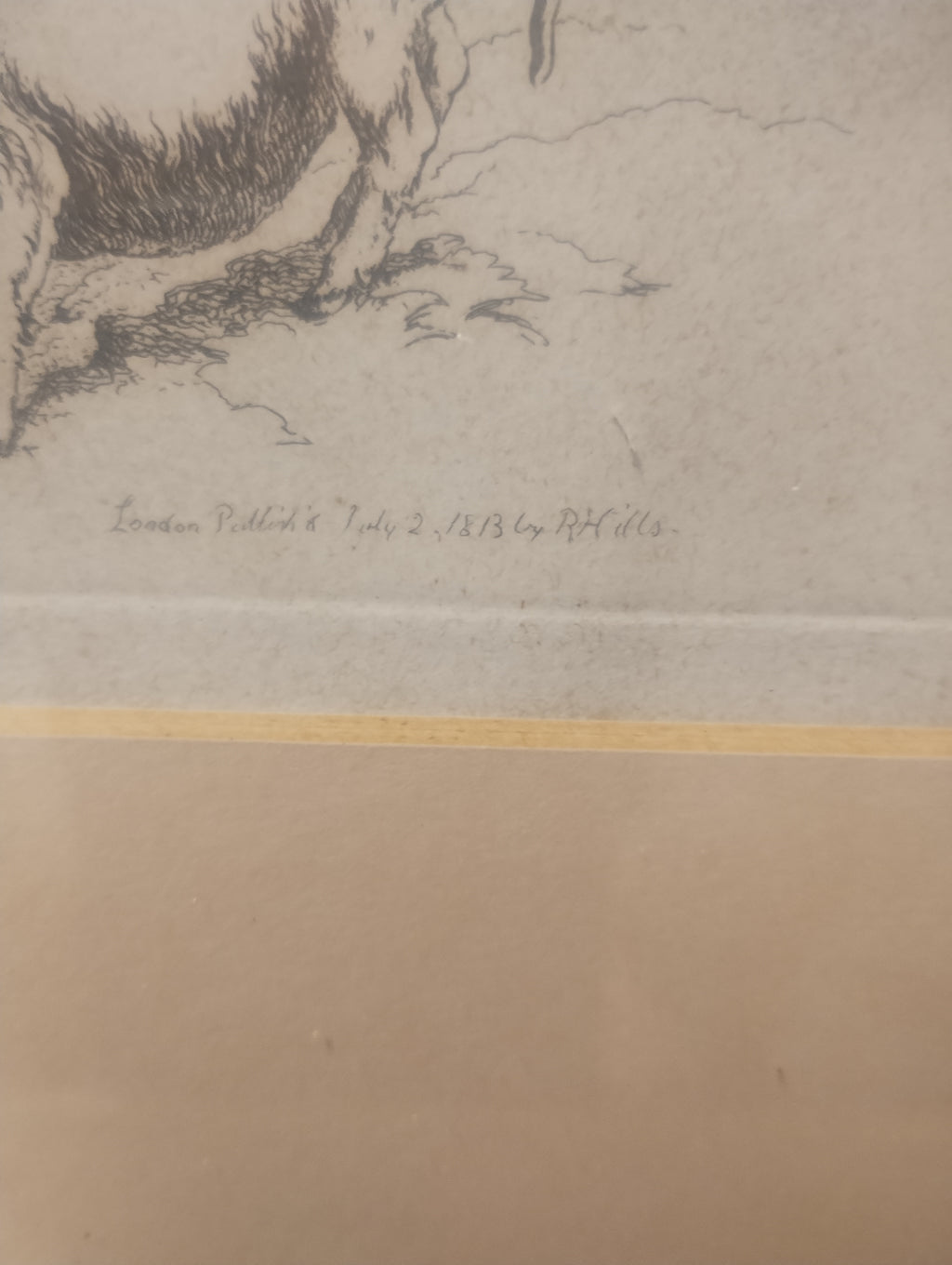 Etching of pigs by Robert Hills